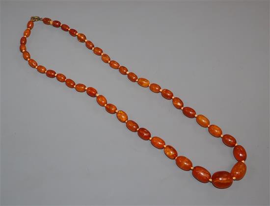 A single strand graduated amber bead necklace, gross weight 23 grams, 52cm.
